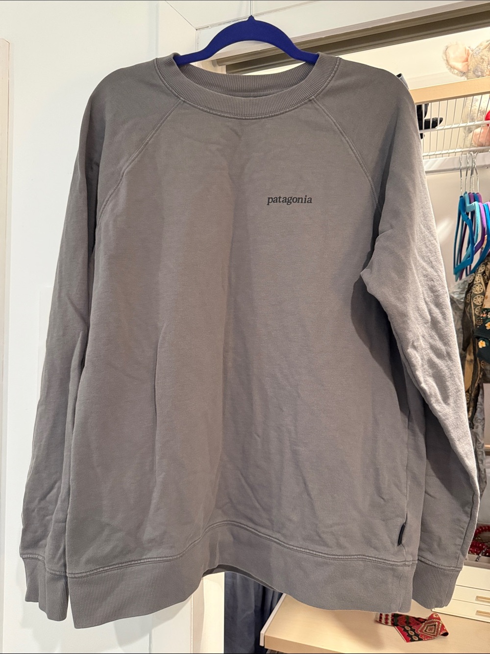 Mens Organic Cotton Patagonia sweatshirt